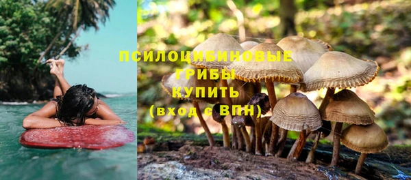 винт Вяземский