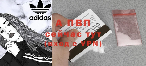 винт Вяземский