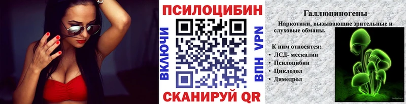 где можно купить   Мещовск  Галлюциногенные грибы Psilocybine cubensis 